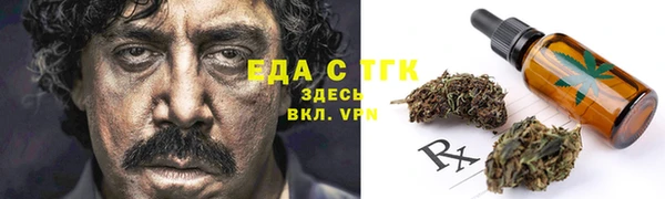 тгк Горнозаводск