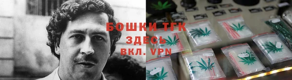 тгк Горнозаводск