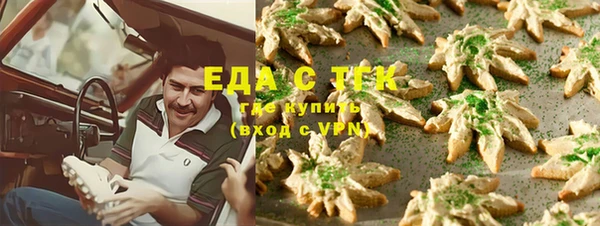 тгк Горнозаводск