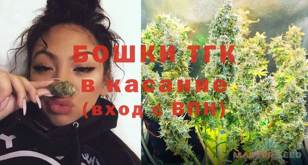 тгк Горнозаводск
