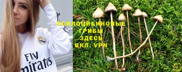 тгк Горнозаводск
