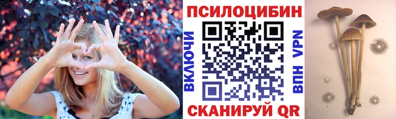 Псилоцибиновые грибы Cubensis  хочу   гидра зеркало  Яранск 