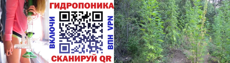 Бошки Шишки Bruce Banner  kraken маркетплейс  Яранск 